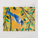 Search for blue jay bird postcards California