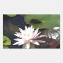Search for water plant stickers Pond