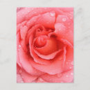 Search for romantic postcards Floral