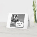 Search for proposal christmas cards Adult christmas humour