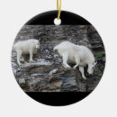 Search for animal lover christmas tree decorations Cute