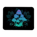 Search for toadstool magnets Mushrooms