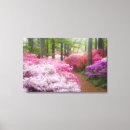 Search for pine mountain canvas prints North america