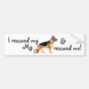Search for german shepherd bumper stickers Alsatian