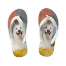 Search for fur shoes Pet