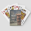 Search for cow playing cards Calf