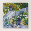 Search for monkey puzzles Primate