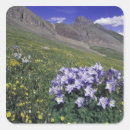 Search for alpine stickers Scenic