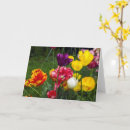 Search for easter mothers day cards Flowers