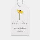 Search for susans Black eyed susan
