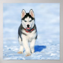 Search for cold dog posters Dogs