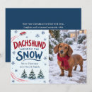 Search for dachshund christmas cards Dachshund through the snow