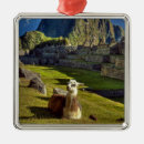 Search for peru christmas tree decorations Llama