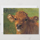 Search for beef cards Calf