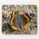 Search for butterfly red mousepads Nature