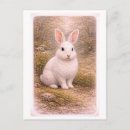 Search for vintage rabbit postcards Antique