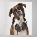 Search for headphones posters Humour