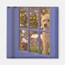 Search for doodle magnets Usa