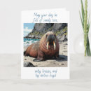 Search for dunes cards Friend