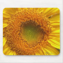 Search for sunflower mousepads Nature