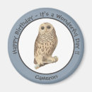 Search for owl magnets Vintage