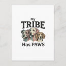 Search for the tribe postcards Animal