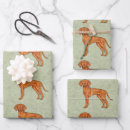 Search for vizsla wrapping paper Cute