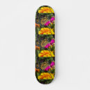 Search for monarch skateboards Butterflies