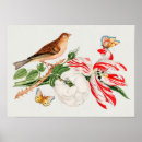 Search for little brown art Flowers