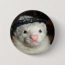 Search for ferret badges Cute