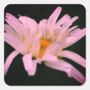 Search for white daisy flower stickers Floral