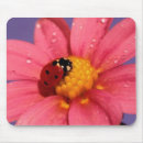 Search for pink ladybug mousepads Floral