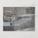 Search for ephesus postcards Turkey
