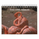 Search for monkey calendars Gorilla