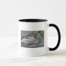 Search for hydraulic mugs States