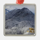 Search for castle christmas tree decorations Outdoors