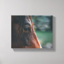 Search for horse canvas prints Brown