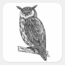 Search for animal totem stickers Owl