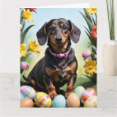 Search for dachshund easter cards Weiner dog