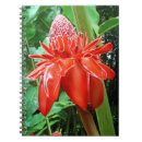 Search for carribean Tropical