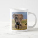 Search for alison mugs Amboseli national park