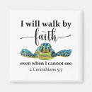 Search for turtled magnets Celebration