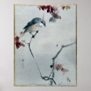 Search for bird watching posters Nature