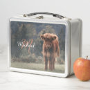 Search for cow lunch boxes Highland cattle