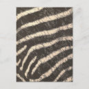 Search for zebra stripe pattern postcards Animal