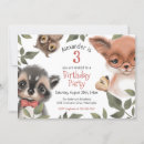 Search for raccoon birthday invitations Owl