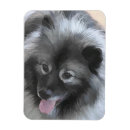 Search for bailey magnets Dog