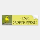 Search for photographers bumper stickers Dog