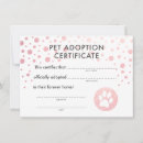 Search for pet adoption certificate Kitty