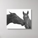 Search for black horse canvas prints Equestrian